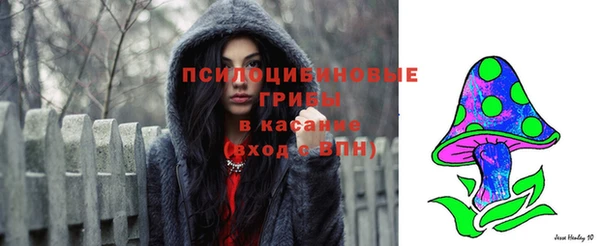 ПСИЛОЦИБИНОВЫЕ ГРИБЫ Баксан