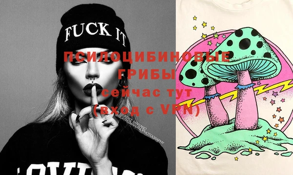 ПСИЛОЦИБИНОВЫЕ ГРИБЫ Баксан