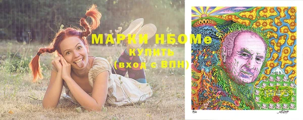ПСИЛОЦИБИНОВЫЕ ГРИБЫ Баксан