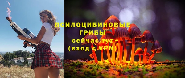 ПСИЛОЦИБИНОВЫЕ ГРИБЫ Баксан