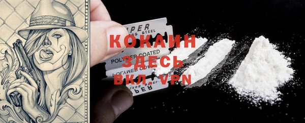 ПСИЛОЦИБИНОВЫЕ ГРИБЫ Баксан