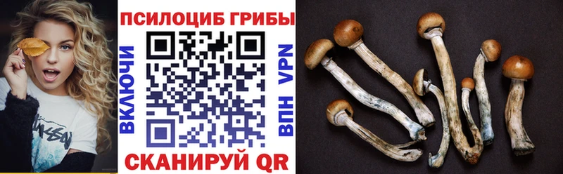Псилоцибиновые грибы Cubensis  Фролово 